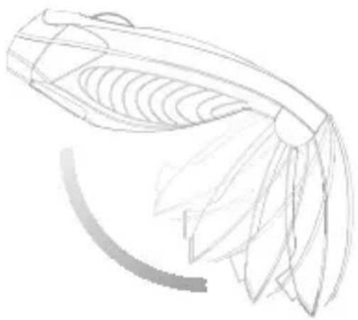 Soyntec Inpput R6 Traveller - 2