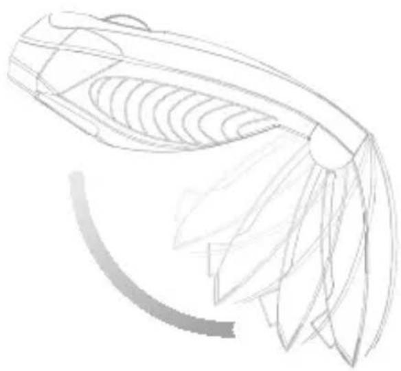 Soyntec Inpput R6 Traveller - SOYNTEC - 2