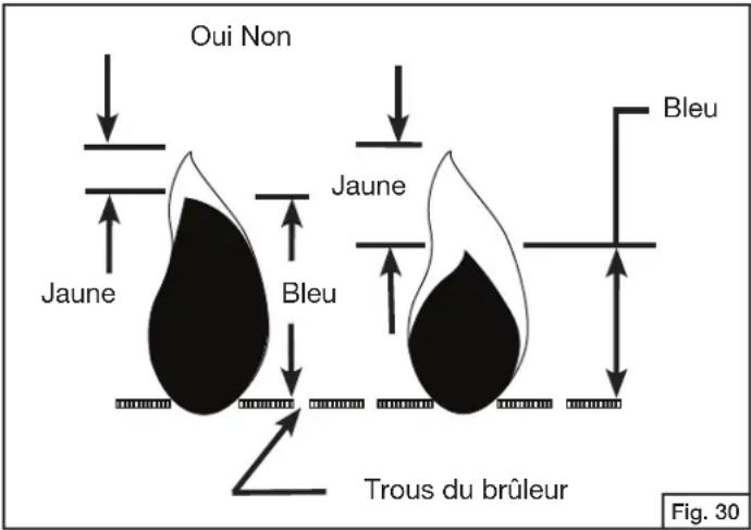 COLEMAN RoadTrip - Flamme du brûleur - 1