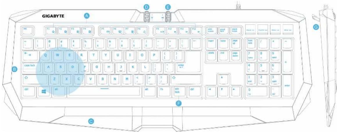 GIGABYTE FORCE K7 - Windows-Tastensperre Anti-Ghosting um den WASD-Block - 7