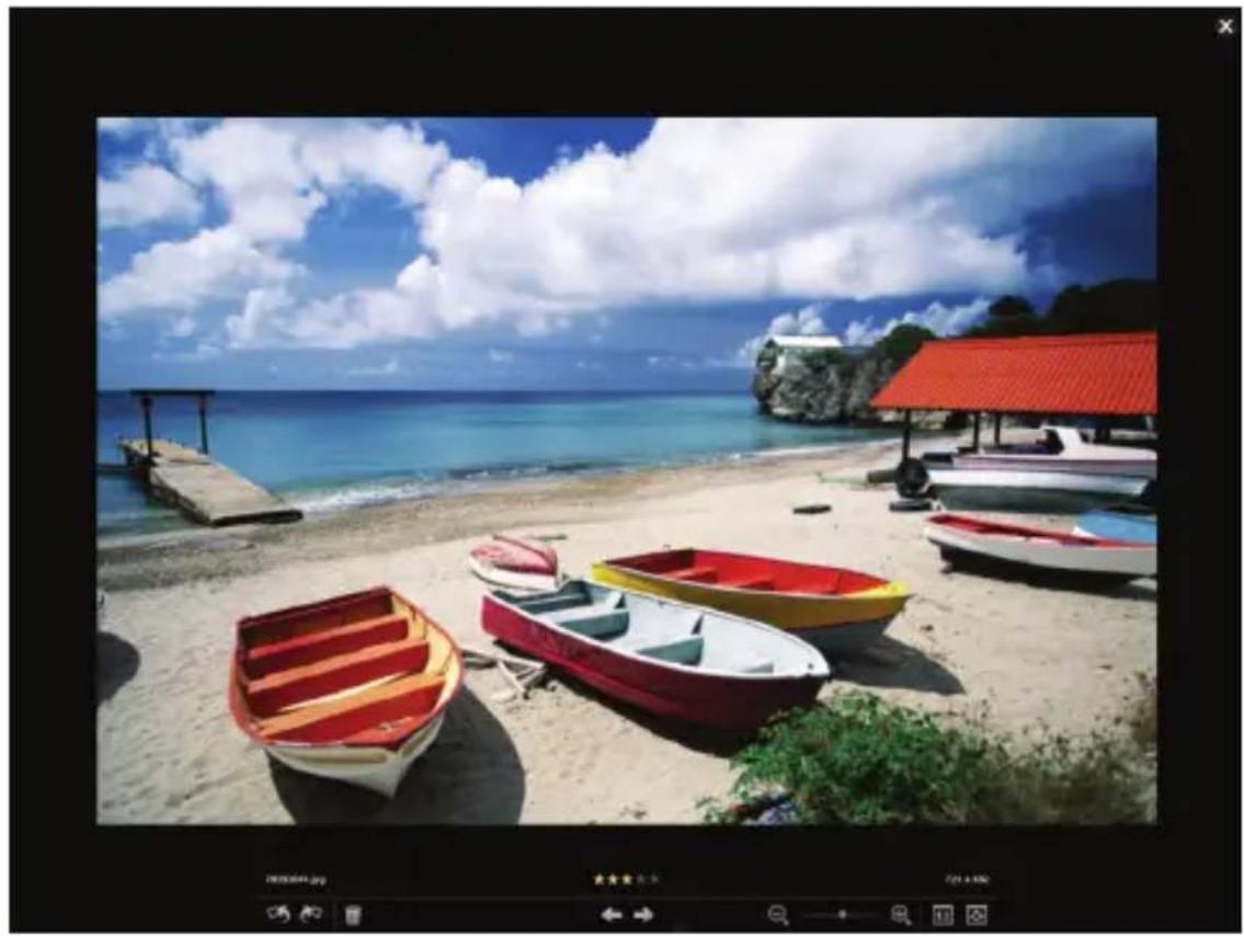 COREL PaintShop Pro X6 - Gérez vos photos - 1