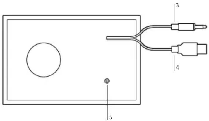 NGS Sugar - Controles - 2