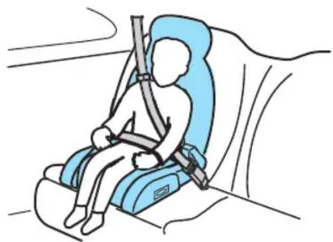 Mercury Grand Marquis (2009) - Sièges et systèmes de retenue - 2