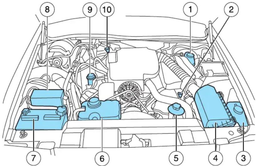 Mercury Grand Marquis (2009) - Identification des éléments du compartiment moteur - 1