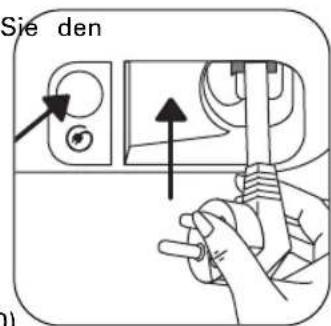 Sie den (b)