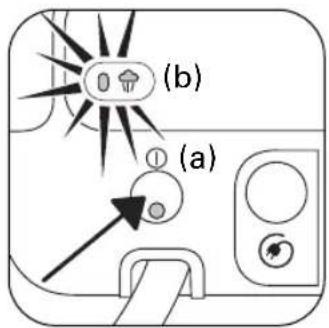 (b) (a)