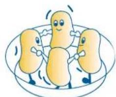 DELONGHI MW765 - Fundamentele regels voor een correcte voedselbereiding in de magnetronoven - 2