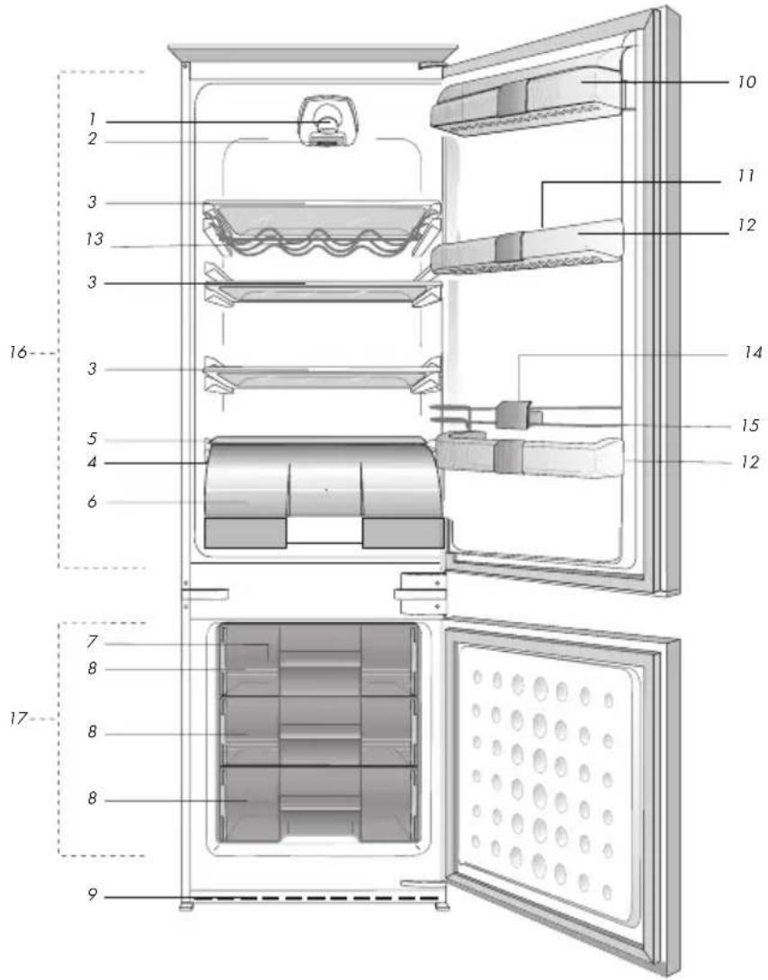 BLOMBERG KNM 1551 I A - Ihr Kühlschrank - 1