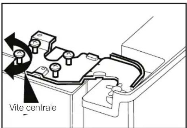 Vite centrale