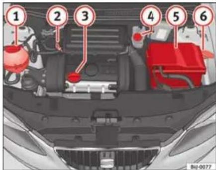 SEAT Ibiza SC (2011) - Vérification des niveaux - 1