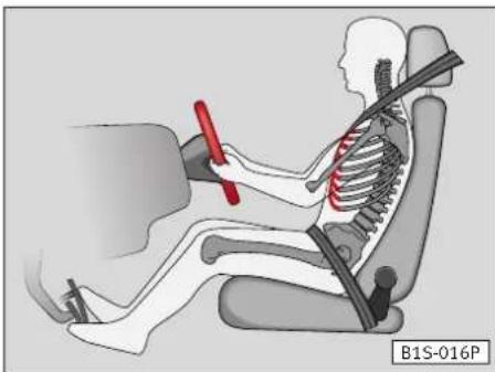 SEAT Alhambra (2005) - Position correcte des occupants du véhicule - 1