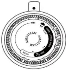 ROWENTA Steamium DW9035 - • Ajustar a temperatura - 1