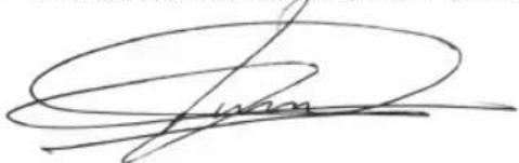 BESTRON DTS1000LM - FRANCE: - 1