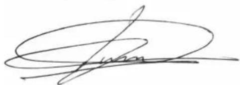 BESTRON DTS1000LM - CE-KONFORMITÄTSERKLÄRUNG - 1