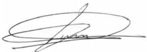 BESTRON DTS1000LM - DICHIARAZIONE DI CONFORMITÀ CE - 1