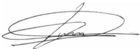 BESTRON DTO3091 - CE-CONFORMITEITSVERKLARING - 1