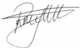 BESTRON ATO978 - DICHIARAZIONE DI CONFORMITA CE - 1