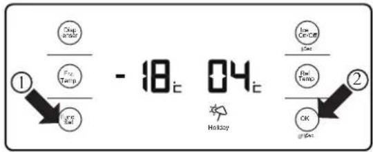 HAIER HRF628IF6 - WARNING! - 2