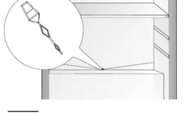 AMICA FK268.3 X AA - A gyártó nyilatkozata - 10