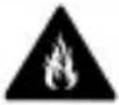ZTE BLADE Q MAXI - Disclaimer - 6
