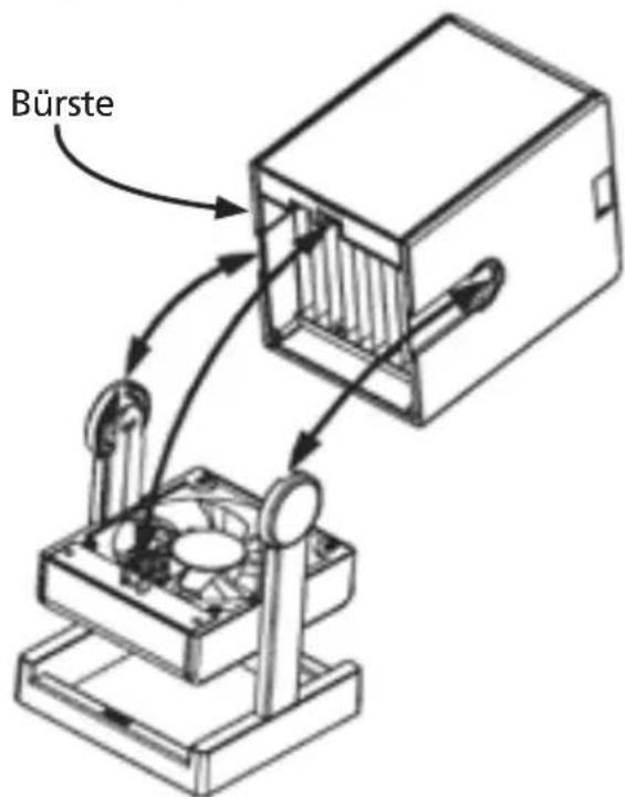 STEBA LR6 - Reinigung - 2