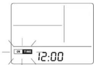 DELONGHI PAC FX180 ECO - Va ricordato che il timer avvia il climatizzatore reimpostando tutte le funzioni e le modalità attive prima dell'ultimo spegnimento. - 1
