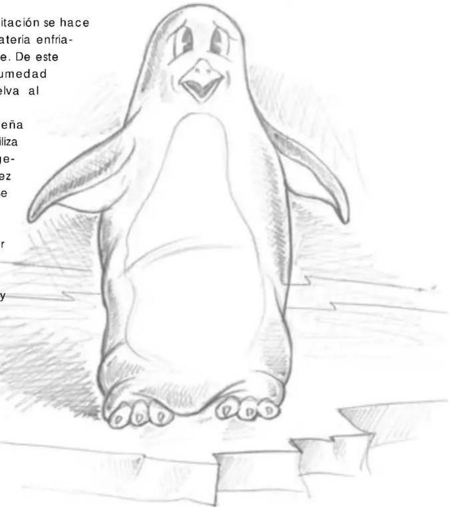 DELONGHI PAC FX180 ECO - Qué es Pingüino y SuperPinguino - 1