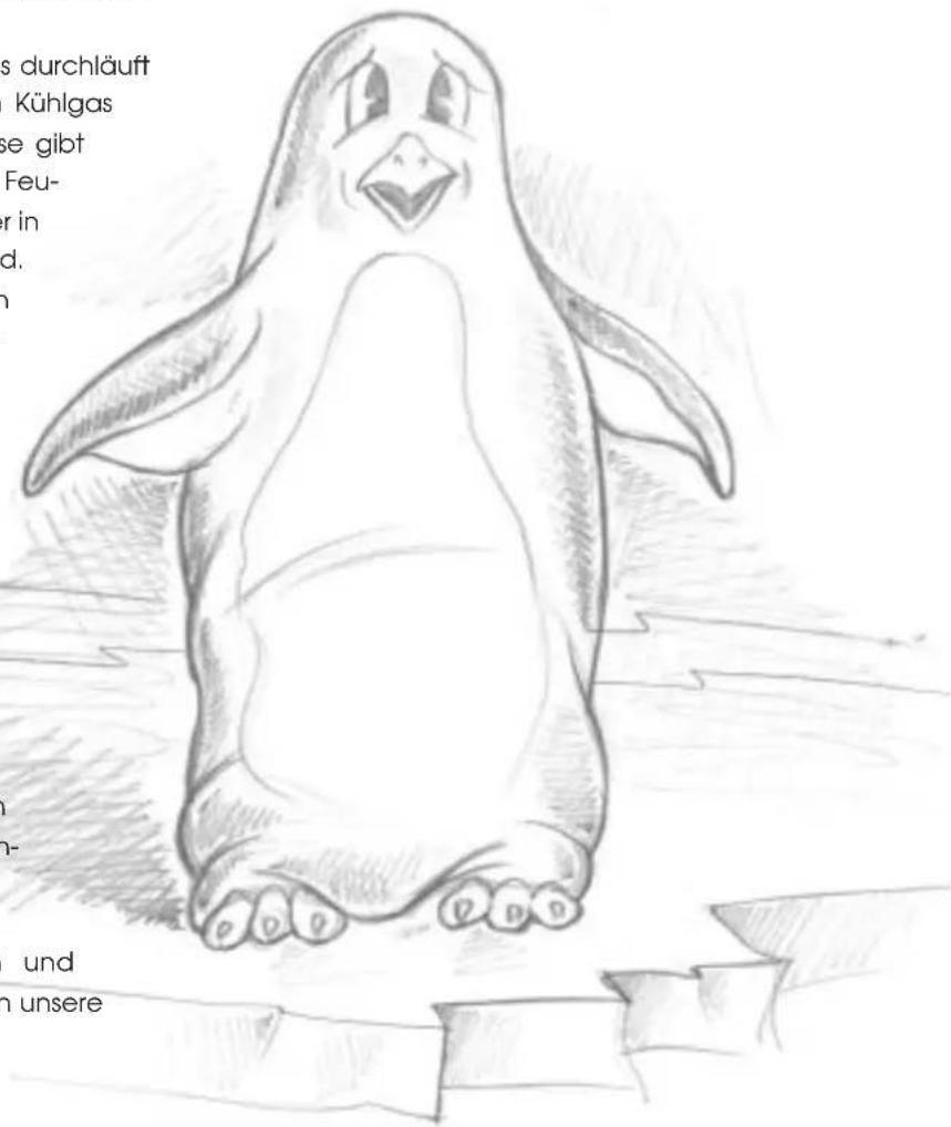 DELONGHI PAC F400 - Was sind Pinguino und SuperPinguino? - 1