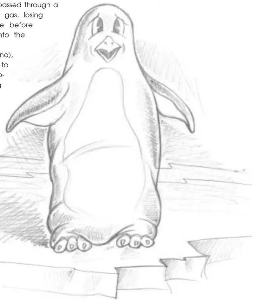 DELONGHI PAC F400 - What is Pinguino Pinguino and SuperPinguino - 1