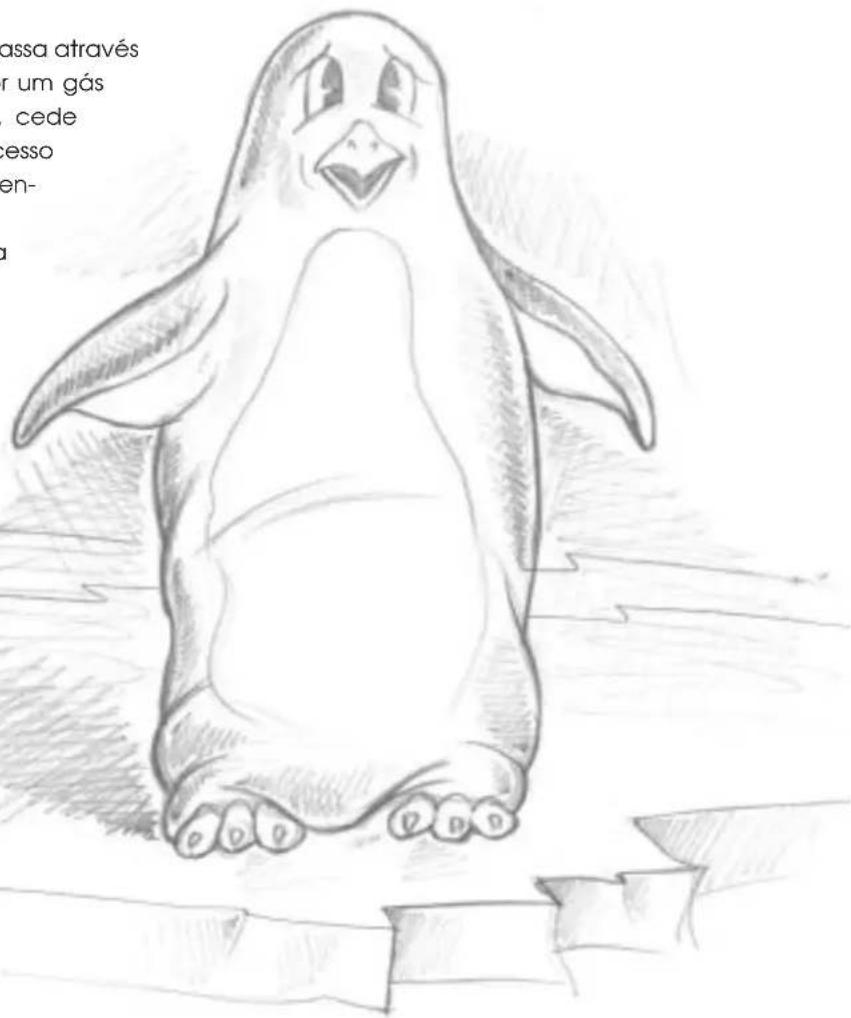 DELONGHI PAC F400 - Que é Pinguino e Super Pinguino - 1