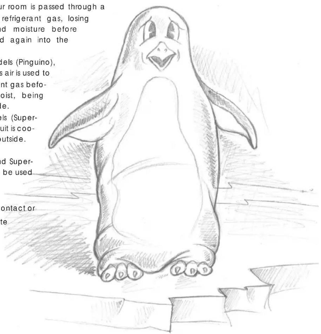 DELONGHI Pinguino PAC F200 - What is Pinguino Pinguino and SuperPinguino - 1