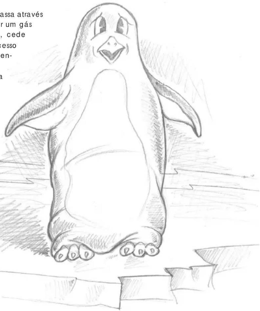 DELONGHI Pinguino PAC F200 - Que é Pinguino e Super Pinguino - 1