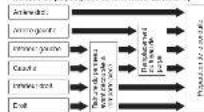 CARRIER 38NYV025 - Tuyau de Purge - 1
