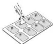 ARGO Ulisse 1013A - LIMPIEZA DEL FILTRO - 1