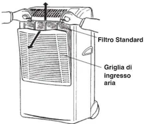 ARGO Ulisse 1013A - Sostituzione del filtro aria pulita - 1