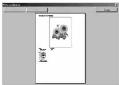 BROTHER PED Basic - Haga tic en [Archivo] y luego en [Vista preliminar] en la barra de menu. - 2