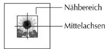 BROTHER PED Basic - Druck Schablone Gitterlinien: - 1
