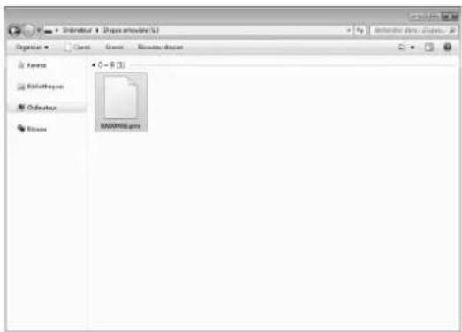 BROTHER Innovis VQ2 - Sélectionnez le fichier .pmv du motif de point et copiez-le sur l'ordinateur. - 1