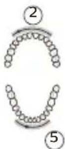 PHILIPS Sonicare DiamondClean Smart HX9903 - Modalità White+ - 2