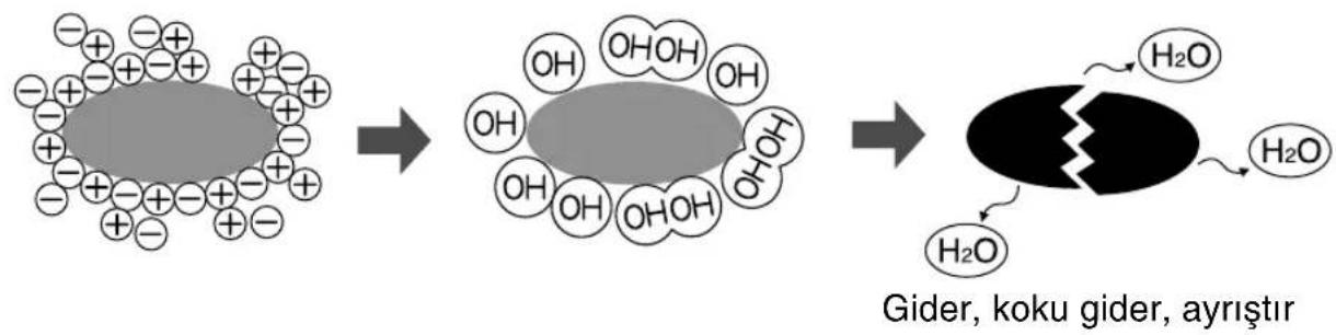 SHARP AHAP24CE - PLASMACLUSTER'in,isletimiYLE ilgili iPUÇLARI - 2