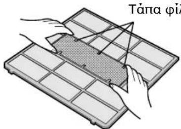 Tânta φi