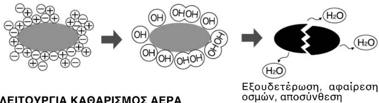 SHARP AEA18CE - ΣΥΜΒΟΥΛΕΣ ΣΧΕΤΙΚΑ ΜΕ ΤΗ ΛΕΙΤΟΥΡΓΙΑ ΡLΑSMACLUSTER - 2