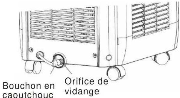 PROLINE GR800 - Raccorder le tuyau de vidange fourni sur l'orifice de vidange : - 1