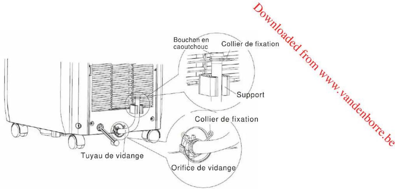 PROLINE GR800 - Raccorder le tuyau de vidange fourni sur l'orifice de vidange : - 3