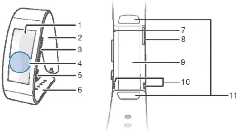 1 2 3 4 5 6 7 8 9 10 11