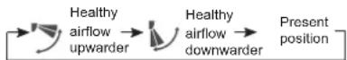 HAIER AS18GN3ERA - Healthy airflow Operation - 1