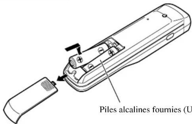 Piles alcalines fournies (U