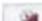 BECKER Transit Active 6 LMU - Touche Format - 1