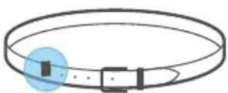 WITHINGS Pulse Ox - Belt Clip - 1