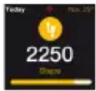 MYKRONOZ ZeWatch 4 - ACTIVITY - 1